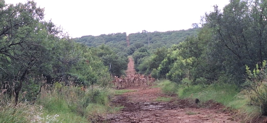 10 Bedroom Property for Sale in Swartruggens North West